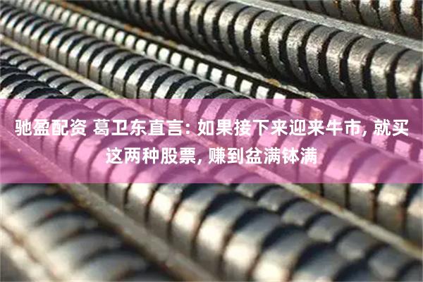 驰盈配资 葛卫东直言: 如果接下来迎来牛市, 就买这两种股票, 赚到盆满钵满
